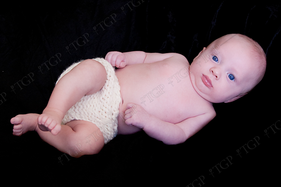 tampa, clearwater baby photographer