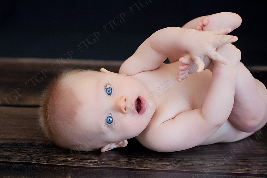 clearwater baby photographer