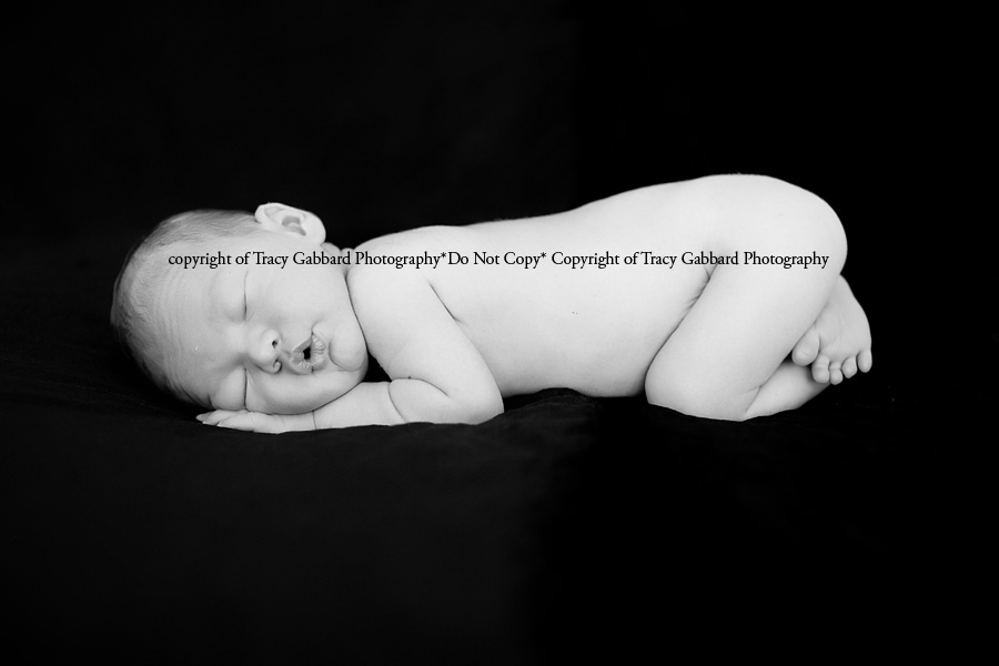 tampa newborn photographer