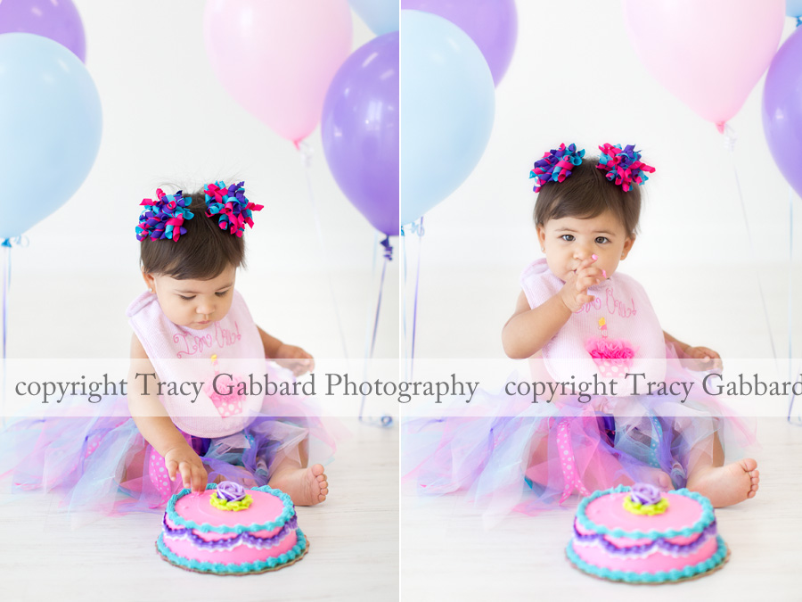 clearwater baby photographer