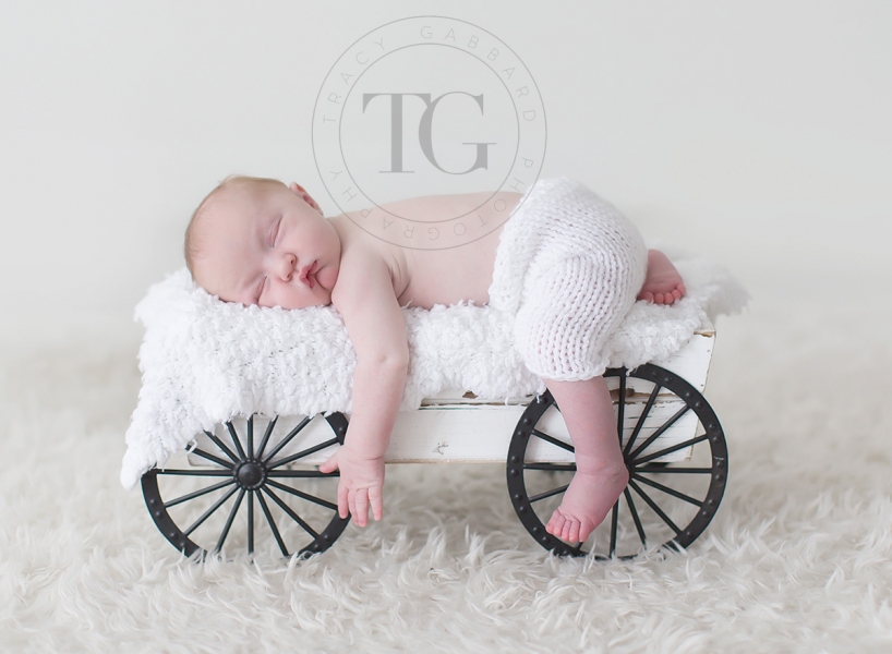 newborn baby cart