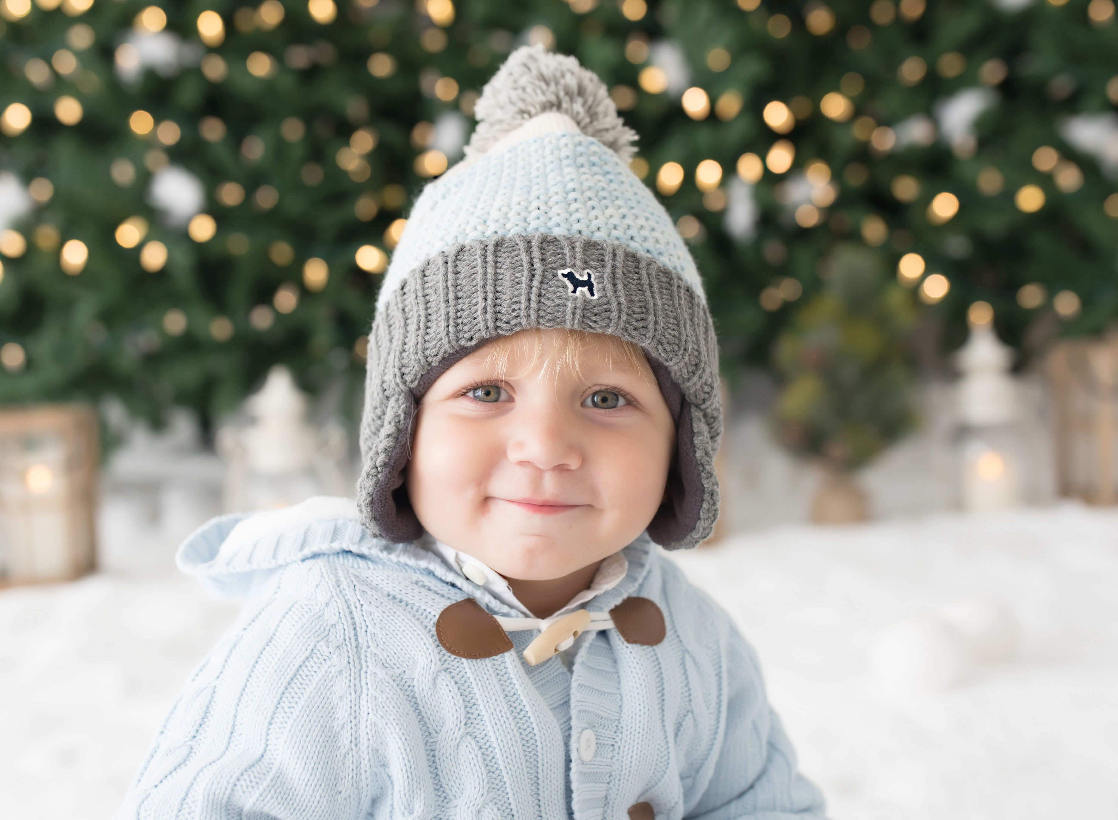 Holiday Pictures - Holiday Session 2019 - Snowball Session