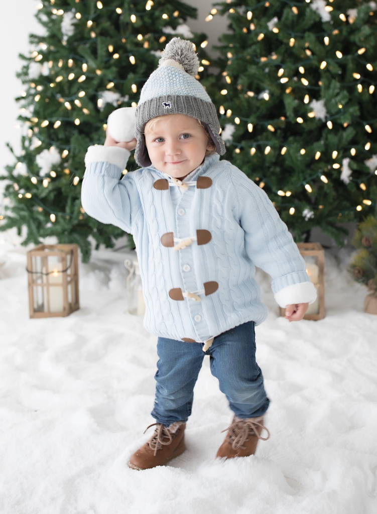 Holiday Pictures - Holiday Session 2019 - Snowball Session 