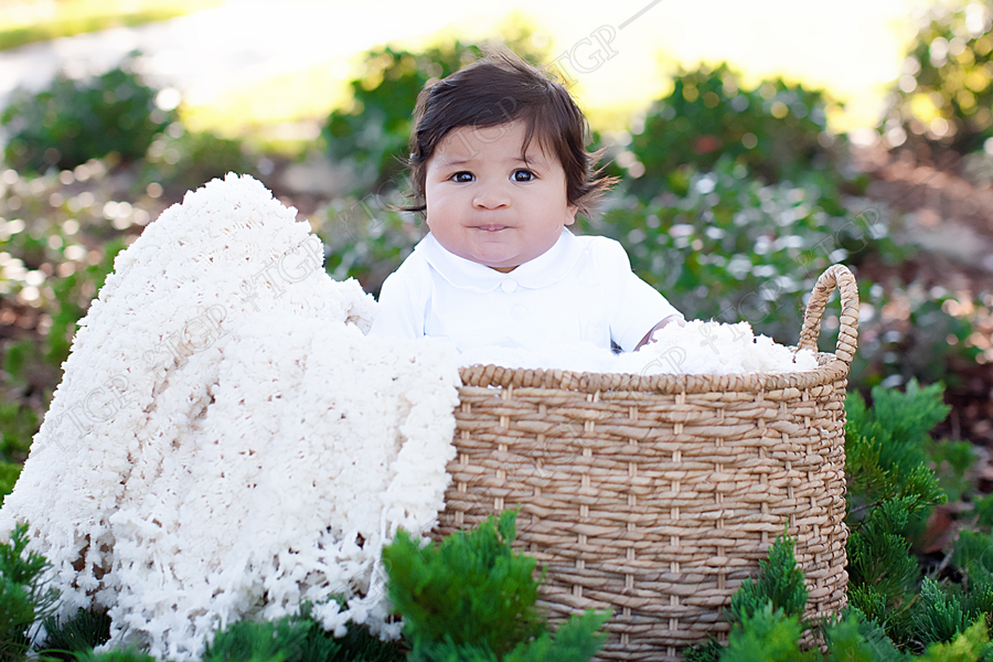 tampa family photographer