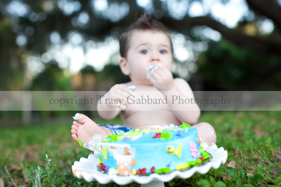 tampa first birthday photographer