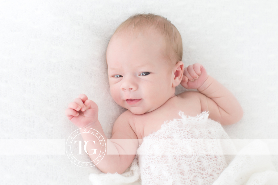 TGPBlog4