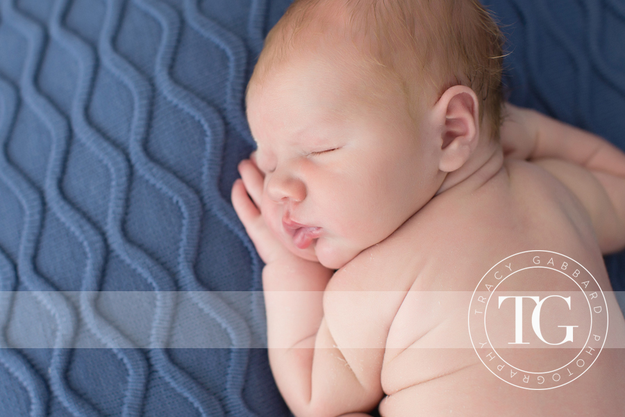 tampa newborn photography
