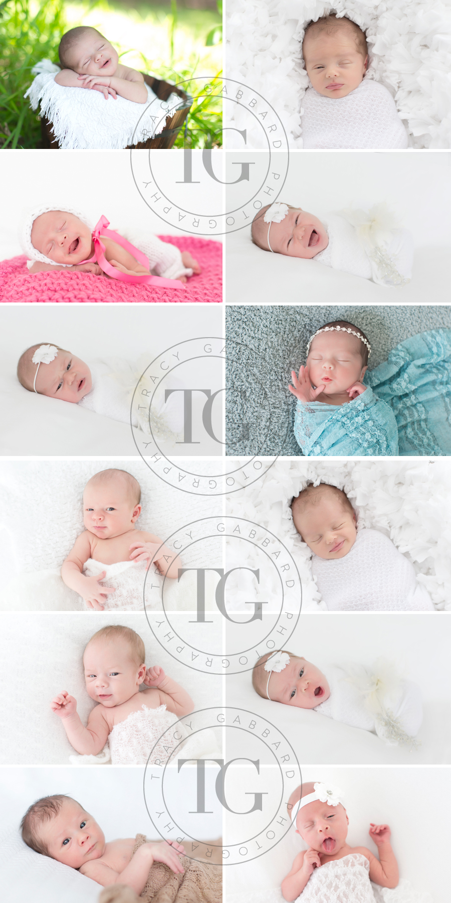 Tampa Newborn Photographer