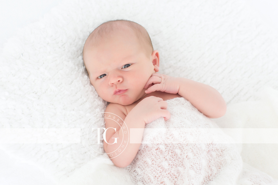 Tampa Newborn Photographer