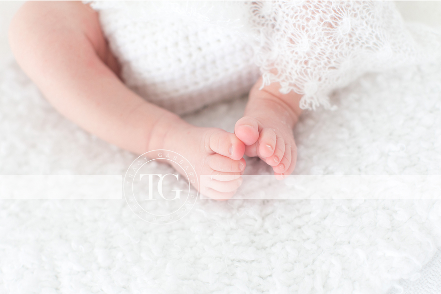 Tampa Newborn Photographer