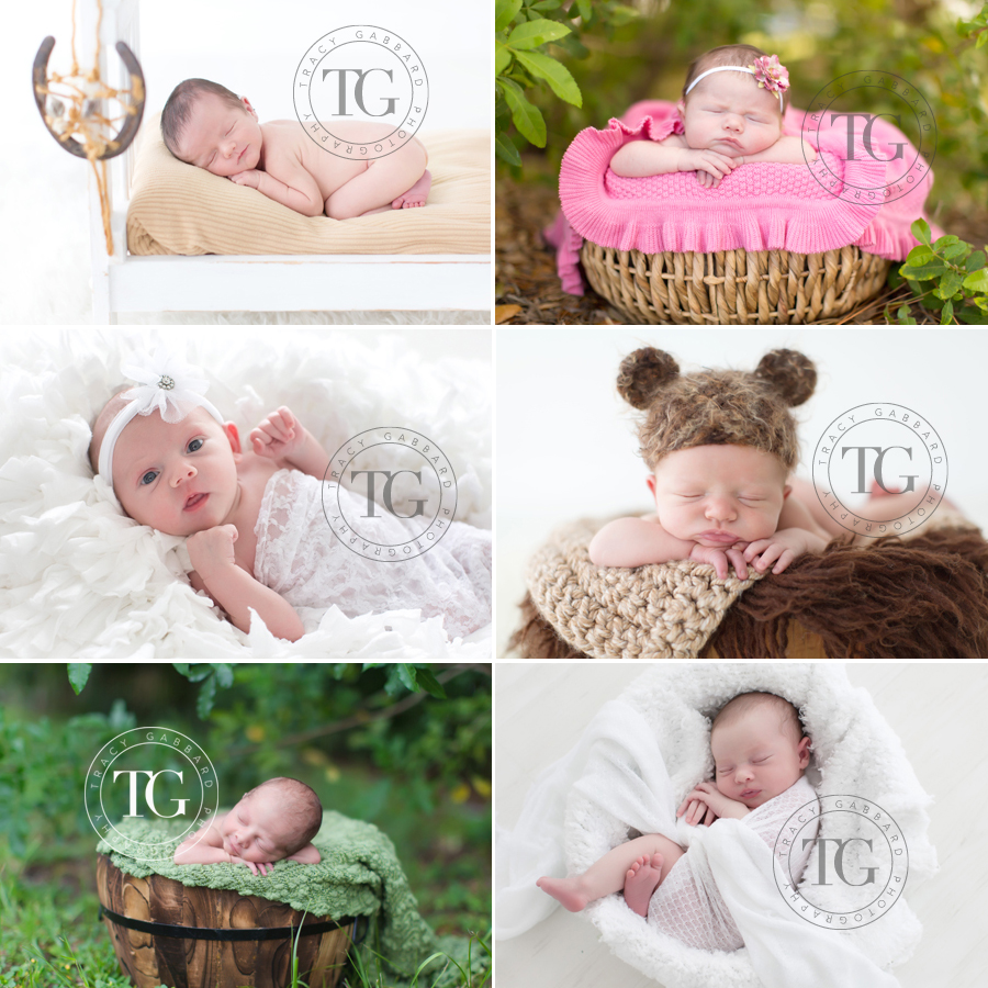 Tampa Newborn Photographer