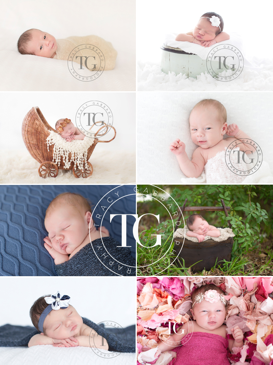 Tampa Newborn Photographer