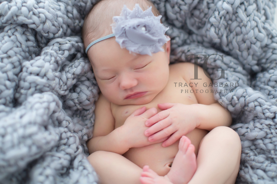 Tampa Newborn Photographer