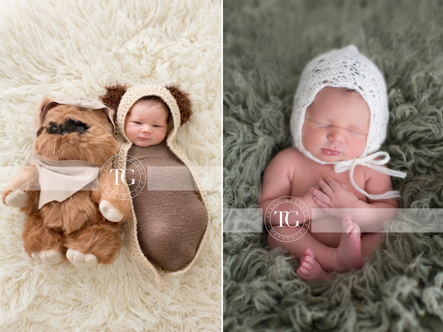 Tampa Newborn Photographer