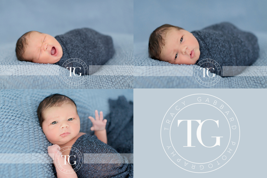 Tampa Newborn Photographer