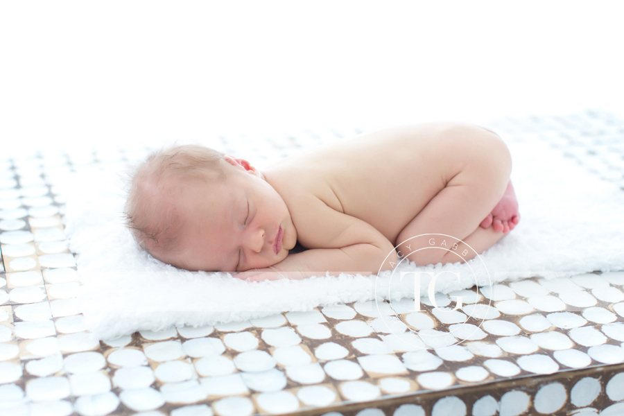 Tampa Newborn Photographer