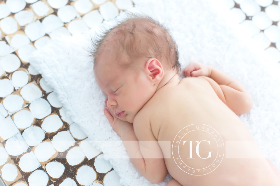 Tampa Newborn Photographer