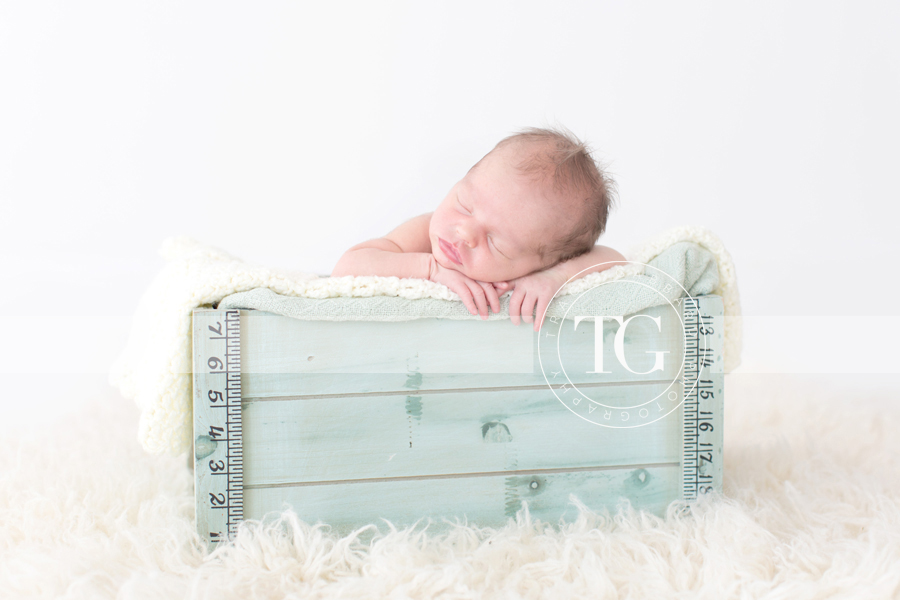 Tampa Newborn Photographer