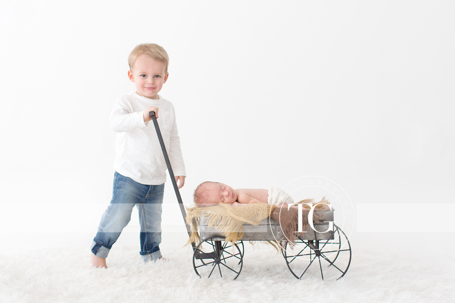Tampa Newborn Photographer