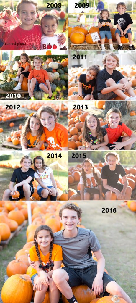 Pumpkin Day Pumpkin Day - Pumpkin patch collage